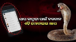 ଯଦି ଆପଣଙ୍କୁ ସାପ କାମୁଡେ ତେବେ କଣ କରିବେ ? ଏହି  ଆପରେ ଅଛି ଆପଣଙ୍କ ସବୁ ପ୍ରଶ୍ନର ଉତ୍ତର || Knews Odisha