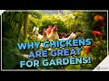 Chicken-Powered Gardens: 14 Ways Chickens Enrich Your Backyard and The Environment