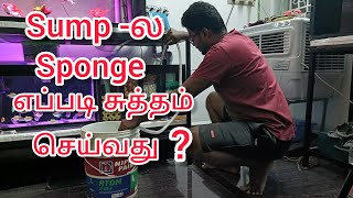 How to clean sponge filter our sump filter #sumpfilter #diy #fish #tamil #driftwood #salem