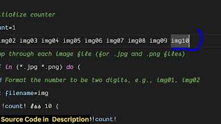 FFMPEG Batch Processing Script to Rename All Files in Directory With a Glob or Pattern in Terminal