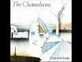 The Chameleons - View From A Hill