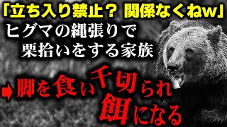 【1988年山形】「あっちの方が栗いっぱいあるよ！」熊出没の警告を無視して栗拾いをする5人家族。そこは3日前にも人を食い殺したばかりの熊の縄張りで...【戸沢村3人食害事件】