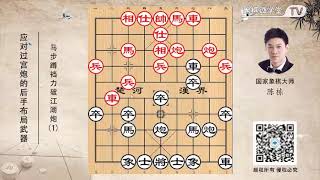 【象棋开局】应对过宫炮的后手布局武器 - 陈栋