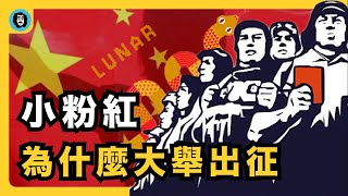 小粉紅看到Lunar New Year又急了｜為何粉紅敏感點如此多｜農曆｜年度保留節目｜辱華反華｜文化小偷｜投訴海外高校｜霸王茶姬道歉｜GTA6遊戲