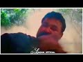 pulithevan whatsapp status videos pulithevan jayanti whatsapp status videos pulithevan status videos