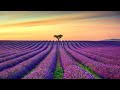 Music Tulohu: Sleep Music for Deep Relaxation and Peaceful Slumber