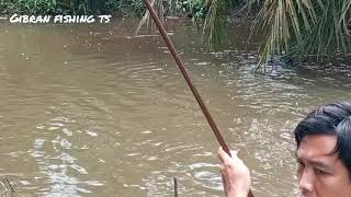 mancing di sini ikan baung nya tarikan nya ganas ganas ngeri