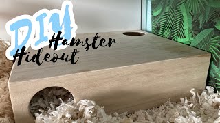 DIY Hamster Multi-Chamber Hideout!