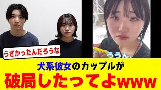 犬系彼女のカップルが破局したってよwwwwwwwwwwwwwww【2chまとめ】【2chスレ】【5chスレ】