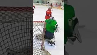 Goalies are weird #hockey #goalie #headshot