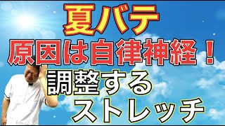 夏バテは自律神経が原因？乱れた自律神経を調整するストレッチ ｜ 大阪府堺市ゆとり鍼灸治療院