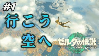 #1【ゼルダの伝説ティアーズオブザキングダム】冒険は、空へ