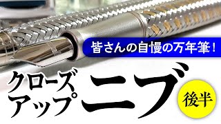 【万年筆】みなさんのイケメンニブ紹介【後半戦】手元実演ウェブカメラを使ってぺんぎん家のニブもマクロ撮影してみた！