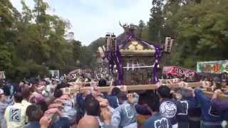 第５５回　鎌倉祭り　御神輿　参道渡り御　鶴岡八幡宮　2013年。