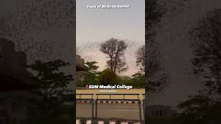 SDM medical college Dharwad#subscribe #whatsappstatus #shortvideo #dharwad