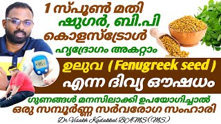 1 സ്പൂൺ ഉലുവ ഇങ്ങനെ കഴിക്കു ഷുഗർ പ്രഷർ കൊള്ട്രോൾ അമിതവണ്ണം മാറ്റാം | Fenugreek Health Benefits