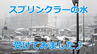 新幹線の消雪スプリンクラー＜越後湯沢：午後＞ E4系Max