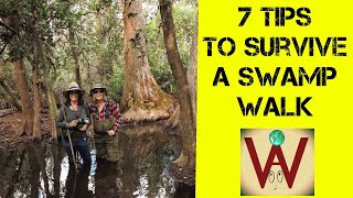 Top 7 Tips to Survive a Swamp Walk