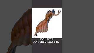 バージェス頁岩動物群 #雑学＃カンブリア紀