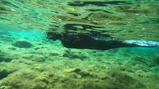 'A Punticedda | Snorkelling Spots in Ustica