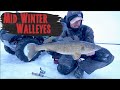 Ice Fishing For Walleyes Midwinter - How To Find and Catch Them