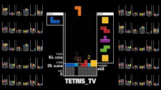 테트리스 초고수 50명과 맞짱떠서 1등 했습니다