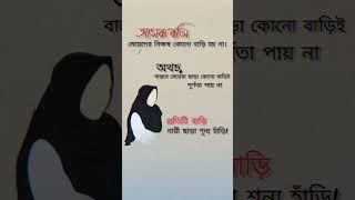 প্রতিটি বাড়ি নারী ছাড়া শূন্য🥀#Short #islamicvideo #motivation