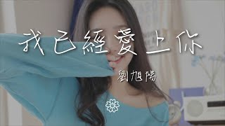 劉旭陽 - 我已經愛上你『那晚陪着你的夜 因爲我已愛上你』【動態歌詞Lyrics】