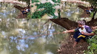 Thilapi fishing 🐠 දියසෙවල වලට තිලාපි අල්ලන විදිහ 😲🐠