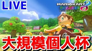 第14回大規模個人杯1回戦3組がんばるぞ！！！【マリオカート8デラックス】