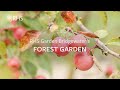 Permaculture and agroforestry in the Forest Garden at RHS Garden Bridgewater | The RHS