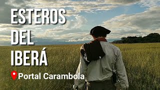 ÉSTO SE QUEMÓ 🔥😢 Esteros del Iberá, Corrientes, Argentina. Viajes en moto 🛵➰🌎