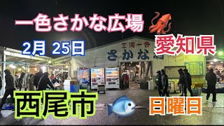 一色さかな広場　愛知県　西尾市　鮮魚