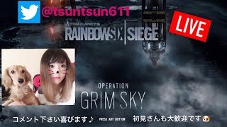 [R6S] 　(概要欄見てください☆)　レインボーシックスシージ　ちょっとだけ雑談カジュアル　初見大歓迎♪