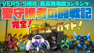 【DQX】聖守護者の闘戦記！完全デビューガイド！