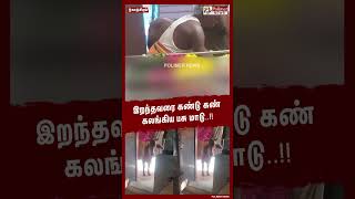 இறந்தவரை கண்டு கண் கலங்கிய பசு மாடு..  #shorts | #cow