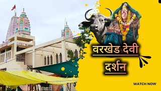 लखाबाई दर्शन वरखेड|| lakhabai Darshan varkhed|| 23/06/2024