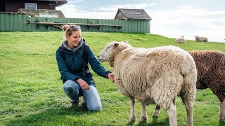 Zu Besuch auf der Hallig Südfall | Wattenmeer Nordsee