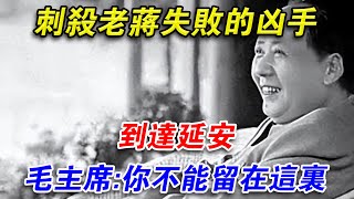 1937年，暗殺老蔣失敗的兇手到達延安，毛主席：你不能留在這裡！#光影文史