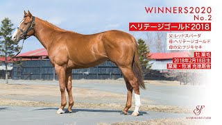 WINNERS2020 No.2ヘリテージゴールド2018