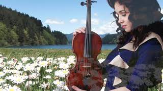 Relaxing Background Music 😌 Heavenly Violin and Cello Instrumental Classical Reading Music