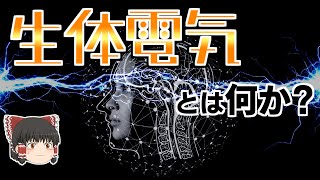 【ゆっくり解説】生物は電気信号を使っている?! 神経伝達の仕組み【神経科学・脳科学】