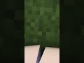 Minecraft yaoi short