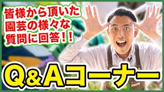 【園芸の基本】コメント頂いた質問に園芸塾塾長の枝元がお答えします！〜ご質問いただきありがとうございます！～【園芸塾】【ハイポネックス】