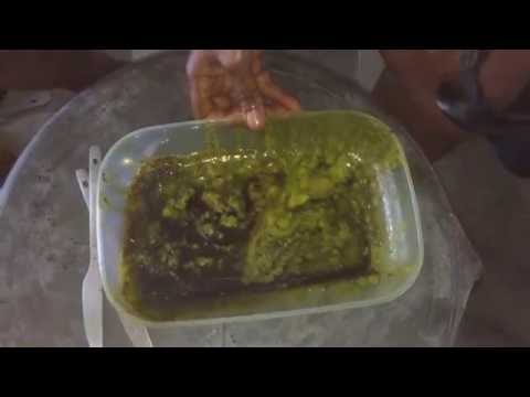 How to Make Virgin Avocado Oil at Home How to Make Virgin Avocado Oil at Home