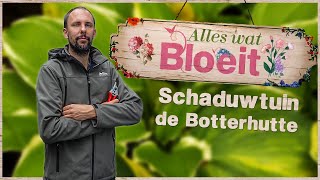 Schaduwtuin de Botterhutte | Alles Wat Bloeit