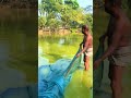 fishing video in village. ইন্জিনিয়ারিং ছেড়ে দিয়ে জেলে হলাম 😀।