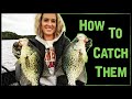 Fall Crappie Fishing Guide