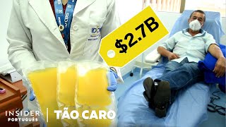 Por Que O Plasma Sanguíneo É Tão Caro? | Tão Caro | Insider Português