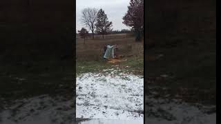 Apple Compost Dumping